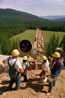 3MTM ScotchkoteTM Slow Fusion Bond Epoxy Powdered Coating 206N, 8G, 65 lb.